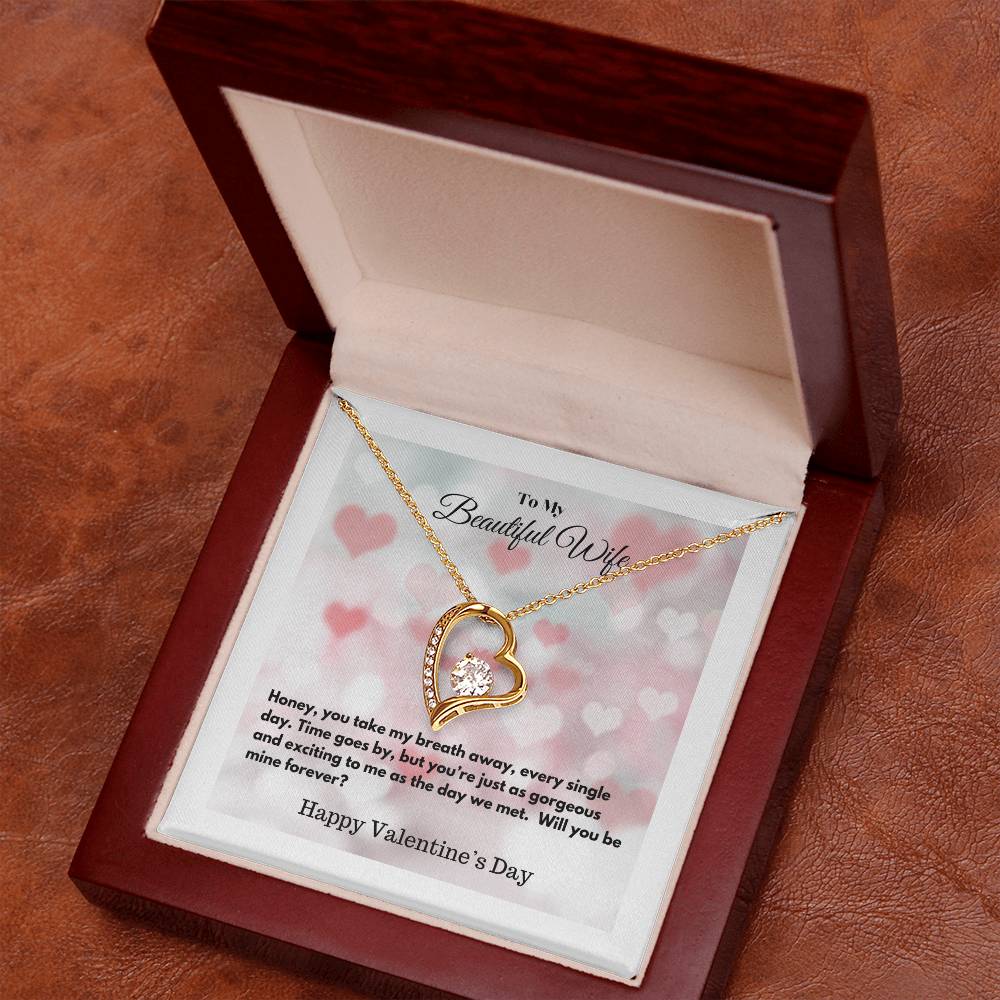 Happy Valentine's Day | Forever Love Necklace | Special Gifts